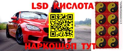 дмт Ставрополь