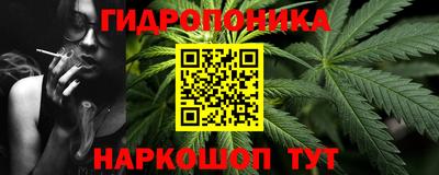 дмт Ставрополь