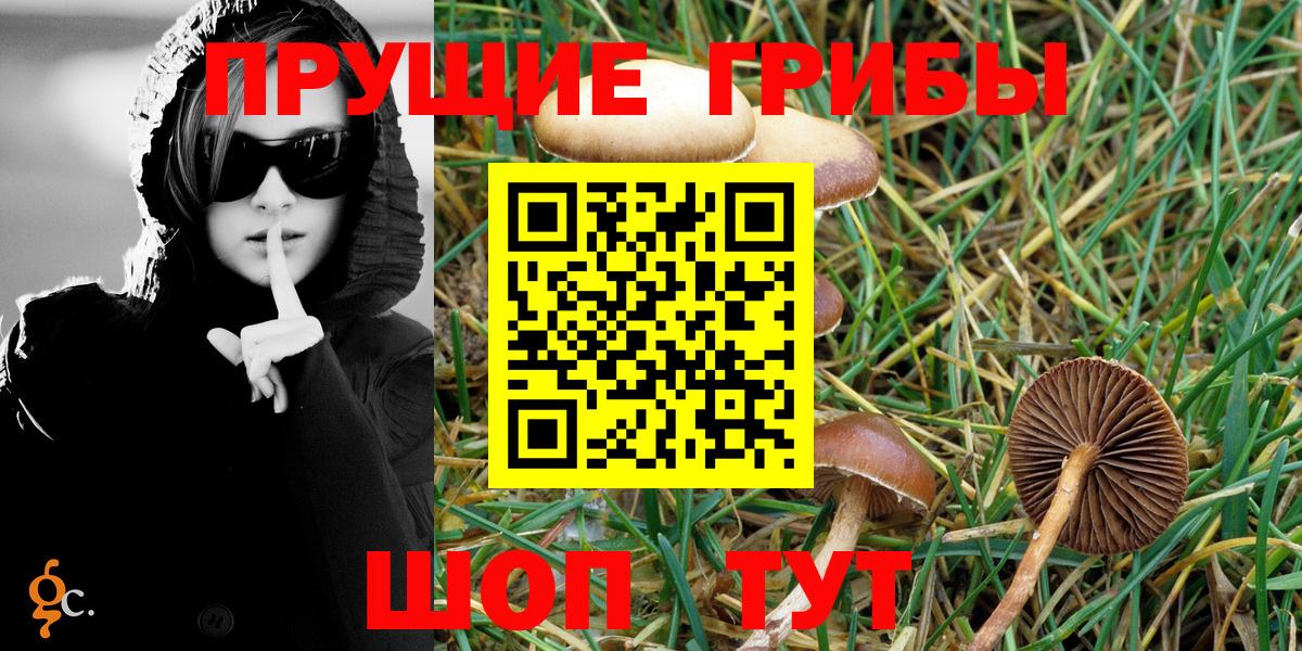 Псилоцибиновые грибы Magic Shrooms Азов