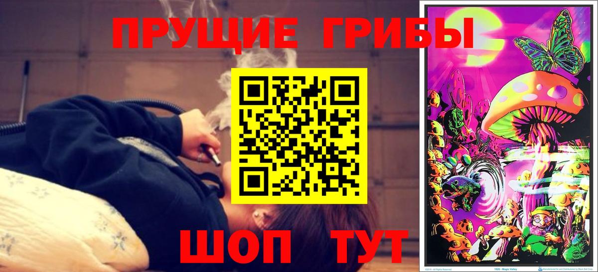 Азов  Псилоцибиновые грибы мухоморы  купить  цена  Вход с VPN 